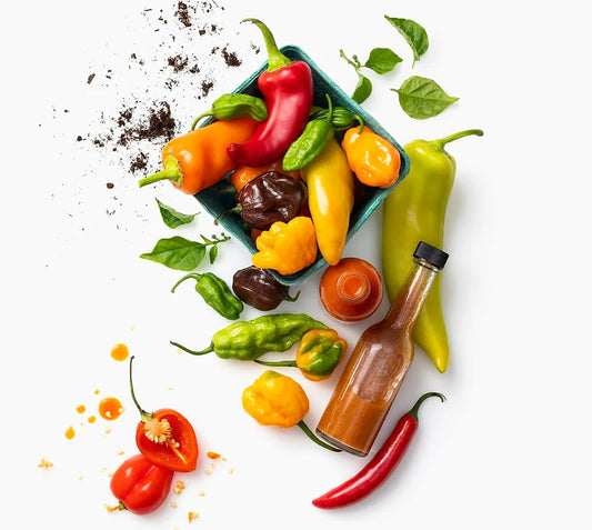 edibleBoston